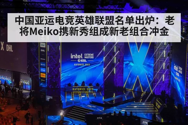 中国亚运电竞英雄联盟名单出炉：老将Meiko携新秀组成新老组合冲金
