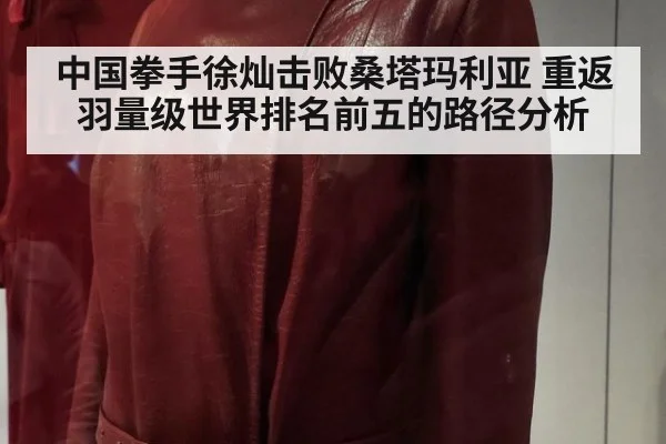 中国拳手徐灿击败桑塔玛利亚 重返羽量级世界排名前五的路径分析